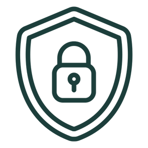 Secure Shopping Experience