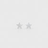 The night sky earrings